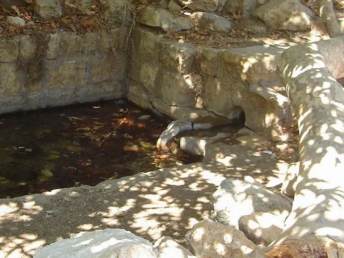 Al-Barak Springs