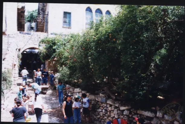 Archive 5