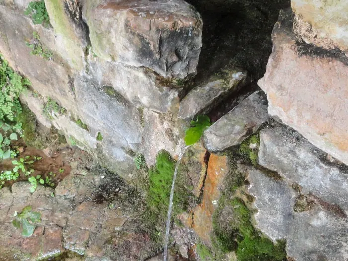 Wadi al-Shahmin Springs
